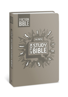 The NIV Action Study Bible, Leathersoft, Gray, Full Color 0830787402 Book Cover
