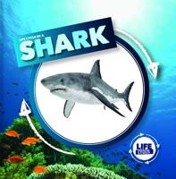 Life Cycle of a Shark 1534526404 Book Cover