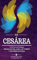 Sin Cesárea: Colección de poemas 1492338451 Book Cover