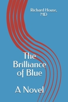 The Brilliance of Blue B0DY93VPKL Book Cover