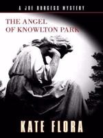 The Angel of Knowlton Park 1594147205 Book Cover