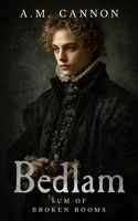 Sum of Broken Rooms (Bedlam) B0GVB29GC6 Book Cover