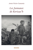 Les Jumeaux de Kerizac'h (French Edition) 2414452870 Book Cover