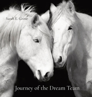 Journey of the Dream Team B0BGQG24TL Book Cover