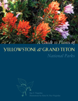 A Guide to Plants of Yellowstone and Grand Teton National Parks 0874808758 Book Cover