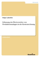 Erfassung des Wertverzehrs von Produktionsanlagen in der Kostenrechnung 3656992401 Book Cover