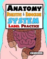 Anatomy Digestive & Endocrine System Label Practice 1532998848 Book Cover