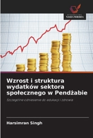 Wzrost i struktura wydatków sektora spolecznego w Pendżabie 6630297156 Book Cover
