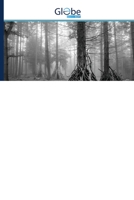 Mediális söprűlovaglás 6200646023 Book Cover