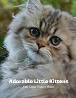 Adorable Little Kittens: A Cat Picture Book for Children, Seniors and Alzheimer 179086688X Book Cover