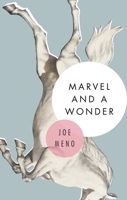 Marvel and a Wonder 1617753947 Book Cover