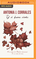 Y si fuera cierto 1713577526 Book Cover