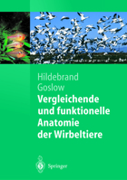 Vergleichende Und Funktionelle Anatomie Der Wirbeltiere 3540007571 Book Cover