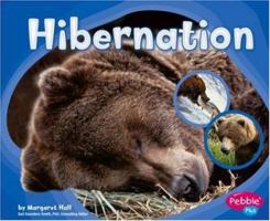 Hibernar/Hibernation (Pebble Plus Bilingual) (Spanish Edition) 0736896163 Book Cover