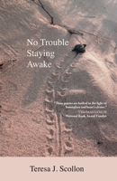 No Trouble Staying Awake 1960329898 Book Cover