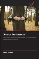 "Praca badawcza": Zarządzanie wrażeniami (IM) Wpływ na rozwój kariery zawodowej pracowników 6203107042 Book Cover
