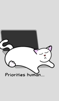 Catlover's Notebook - Blank Lined Pages - Priorities Human 0464390133 Book Cover