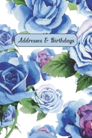 Addresses & Birthdays: Watercolor Blue Roses 1708227016 Book Cover