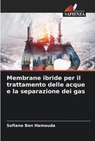 Membrane ibride per il trattamento delle acque e la separazione dei gas (Italian Edition) 6209865038 Book Cover