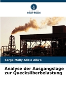 Analyse der Ausgangslage zur Quecksilberbelastung (German Edition) 6630050770 Book Cover
