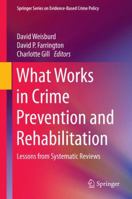 What Works in Crime Prevention and Rehabilitation: Lessons from Systematic Reviews 1493934759 Book Cover