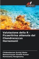 Valutazione della R - Ficoeritrina ottenuta dal Chondrococcus Hornemonii (Italian Edition) 6208567513 Book Cover