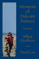 Moments of Delicate Balance 0916727785 Book Cover