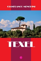 TEXEL: Un commissario inconsueto (Italian Edition) B084PYRZ4C Book Cover