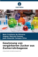 Gewinnung von vergärbarem Zucker aus Zuckerrohrbagasse (German Edition) 6207613767 Book Cover