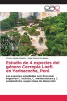 Estudio de 4 especies del género Cecropia Loefl. en Yarinacocha, Perú: Las especies estudiadas son: Cecropia englerian C. latiloba, C. membranácea y ... según mapa de dispersión 6203031224 Book Cover