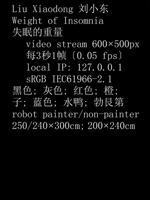 Liu Xiaodong: Weight of Insomnia 0947830715 Book Cover