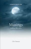 Musings without the muse 9367390130 Book Cover