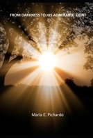 FROM DARKNESS TO HIS ADMIRABLE LIGHT B084QN6LHS Book Cover