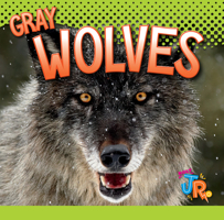 Gray Wolves 1623104513 Book Cover