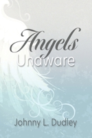 Angels Unaware 1735190063 Book Cover