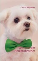 Grimmel der Herzensbrecher 3743179849 Book Cover