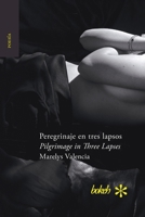 Peregrinaje en tres lapsos / Pilgrimage in Three Lapses 9493156133 Book Cover