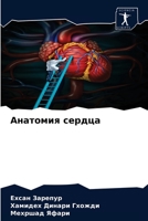 Анатомия сердца 6204053922 Book Cover