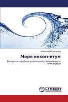 More inkognitum: Melkomasshtabnoe vzaimodeystvie okeana i atmosfery 3845473193 Book Cover