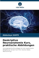 Deskriptive Neuroanatomie Kurs, praktische Abbildungen (German Edition) 6209346413 Book Cover