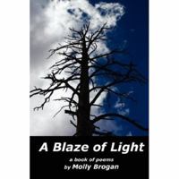 A Blaze of Light 0615142362 Book Cover