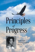 Principles of Progress 1662410573 Book Cover