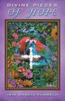 DIVINE PIECES OF HOPE 1545622205 Book Cover