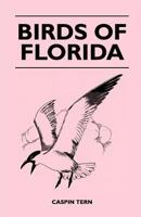 Birds of Florida 1446524922 Book Cover