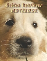 Golden Retriever NOTEBOOK: Dog Notebooks and Journals 110 pages (8.5x11) 1660455596 Book Cover