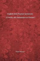 English Verb Practice Sentences : 23 Verbs, 441 sentences in 4 Tenses !: Rachid Moussaoui 1717837158 Book Cover