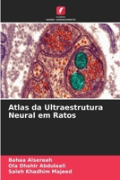 Atlas da Ultraestrutura Neural em Ratos (Portuguese Edition) 6630314131 Book Cover