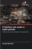 Il fosforo nel suolo e nelle piante 6206884481 Book Cover