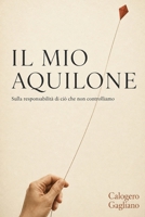 Il mio aquilone: Sulla responsabilità di ciò che non controlliamo (Italian Edition) B0HHTVXG3Y Book Cover