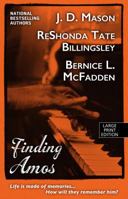 Finding Amos 1451617046 Book Cover